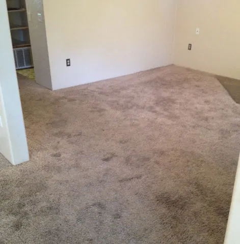 Before image